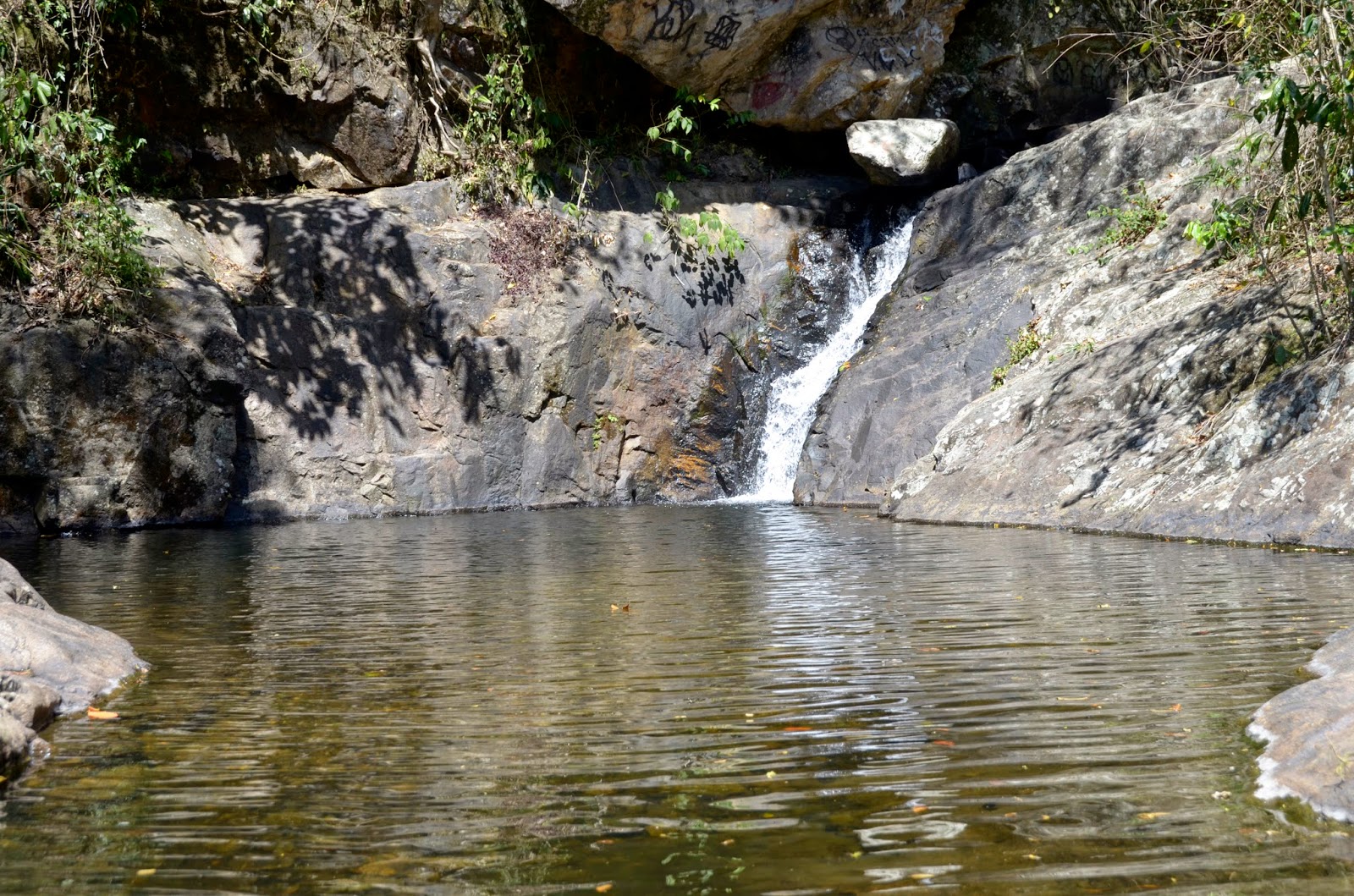 Folha do Iguassú Nova Iguaçu comemora Dia Mundial do Meio Ambiente com 21 mil novas árvores em