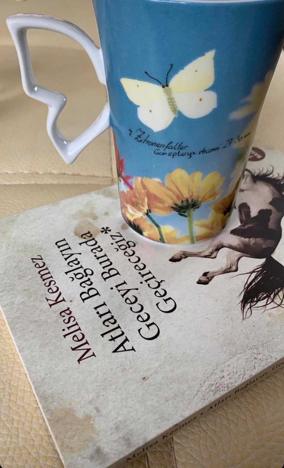 Nohut Oda Melisa Kesmez Sel Yayincilik