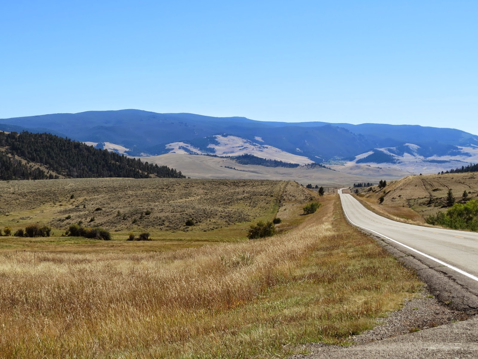 TRAVELS WITH BILL Livingston, MT