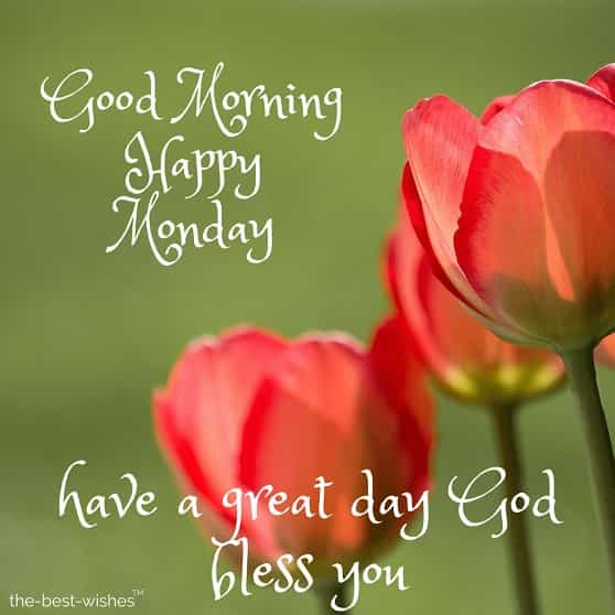 happy-monday-flowers-images happy monday flowers images