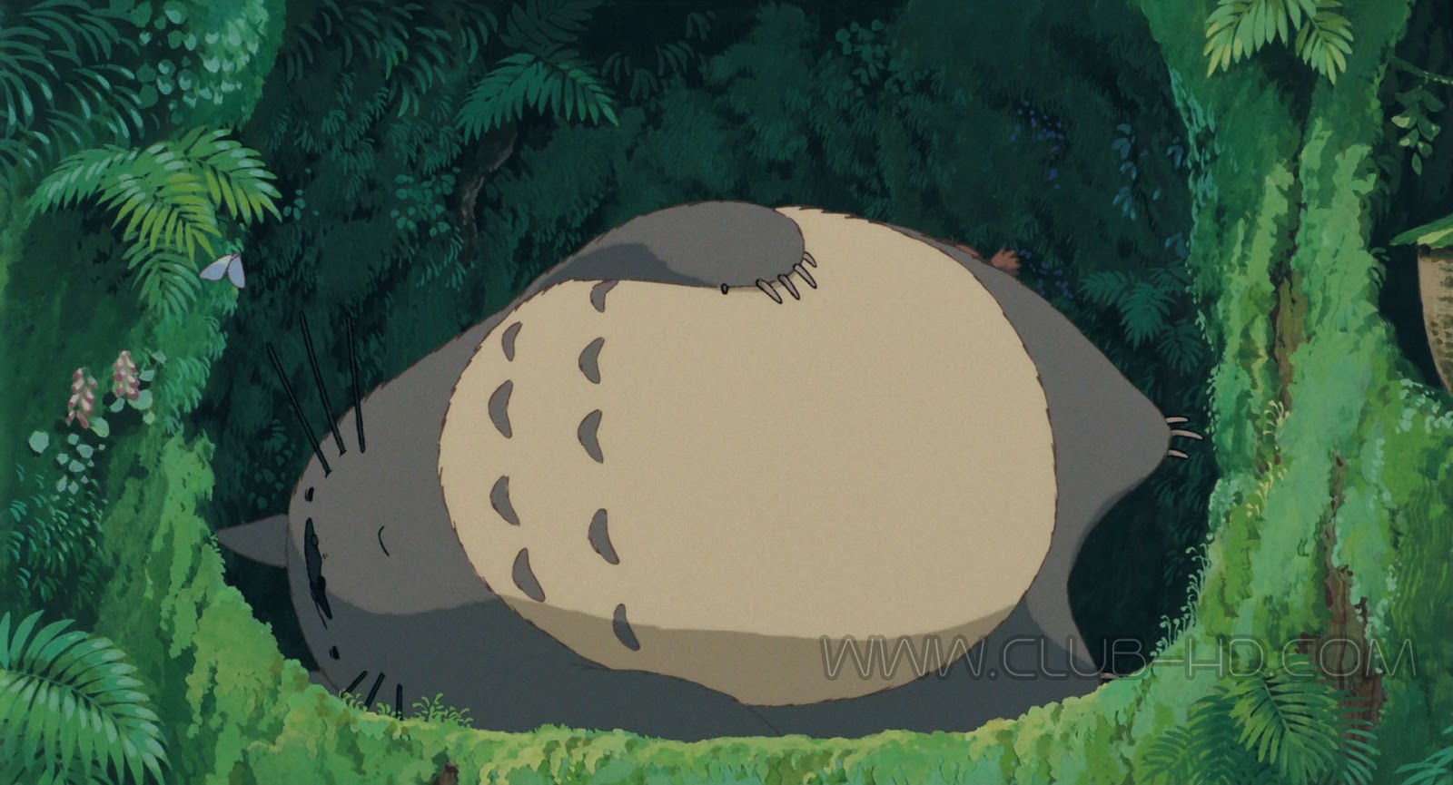 My_Neighbor_Totoro_CAPTURA-2.jpg