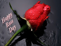 rose day wallpaper, beautiful single red rose with few drops of dew wallpaper for tablet backgrounds