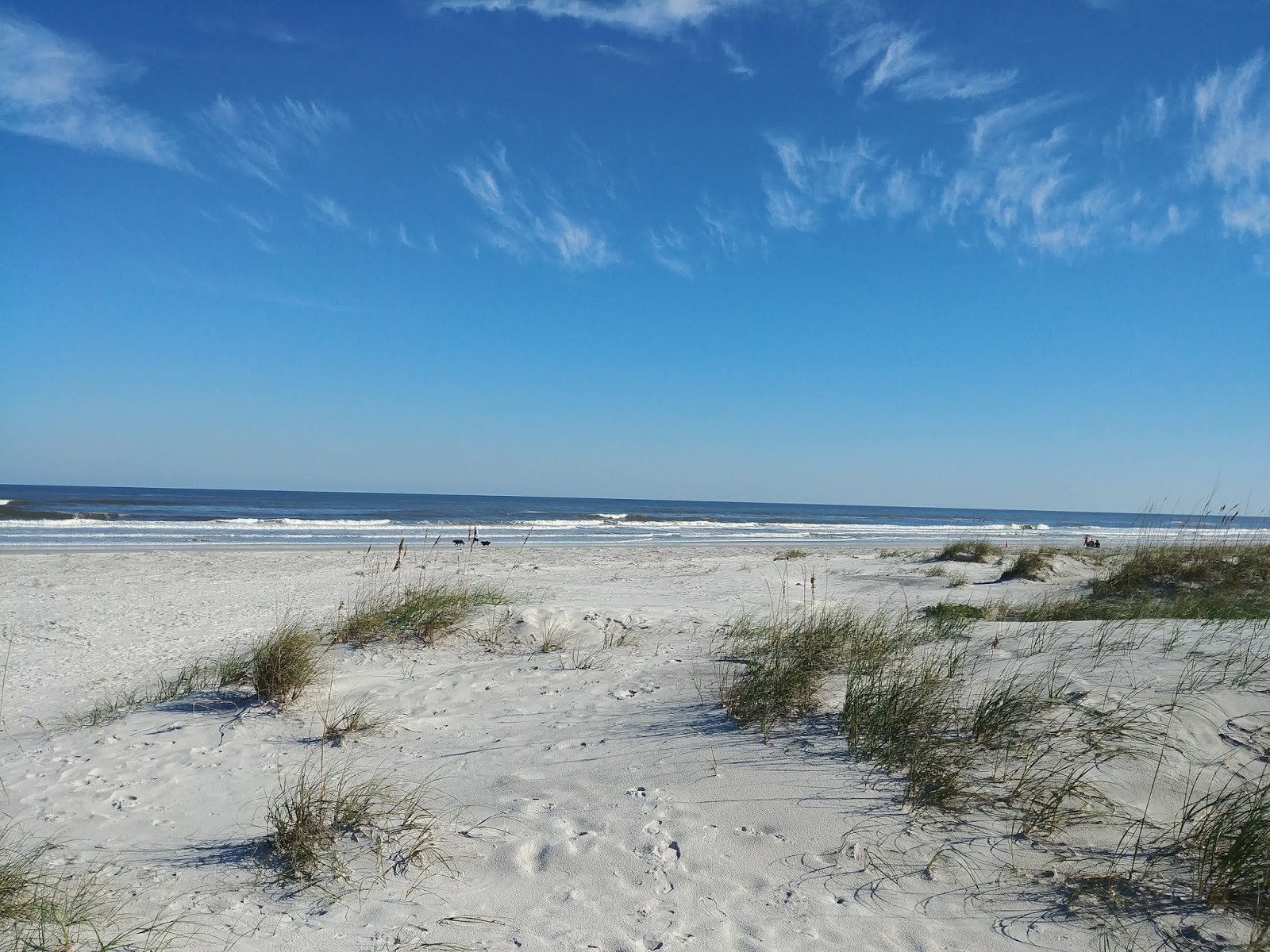 Conoce a Ocean Hammock park