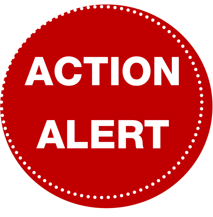 The Journey of a Blue Carameler Sri Krishna and Shishupala