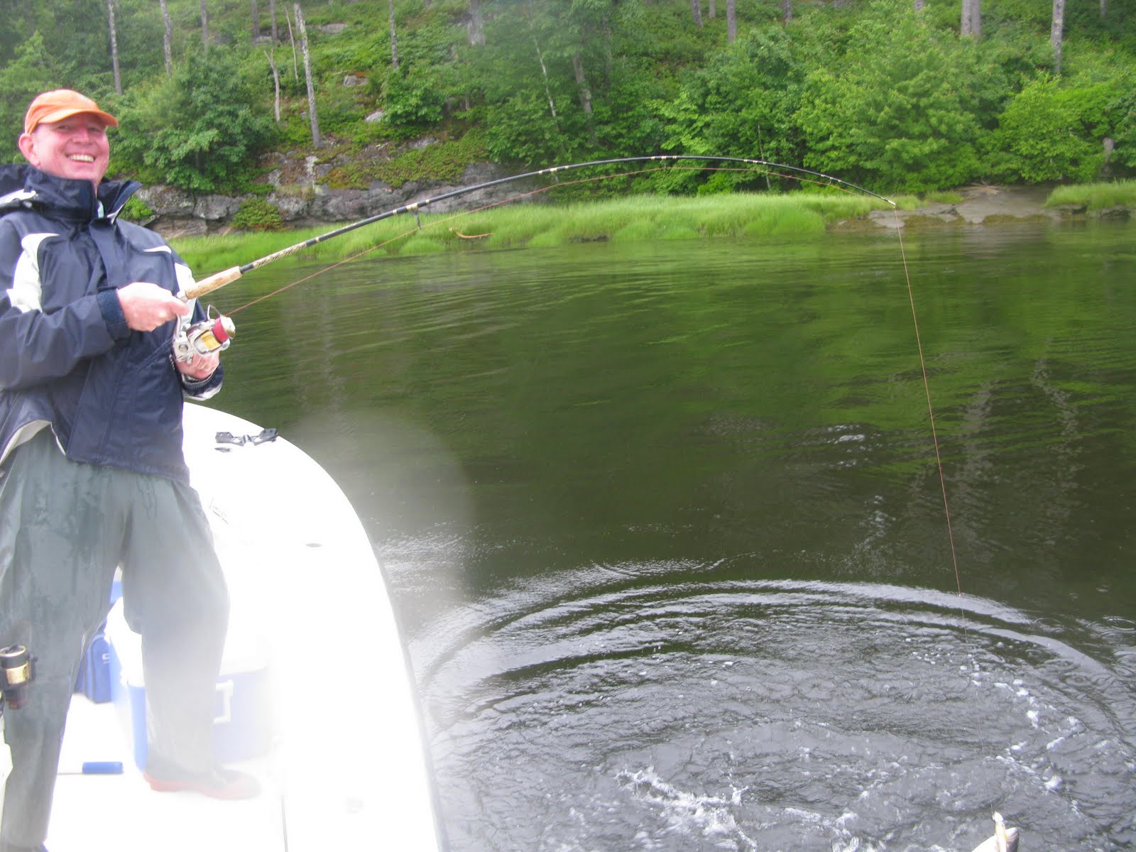 Maine Striper Fishing Charters & Reports Hotline 2076910745 Maine