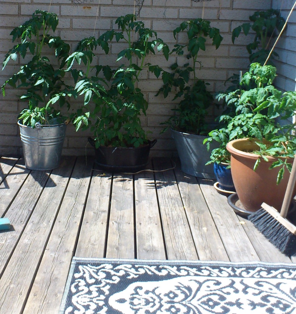 wallinskaya: Skillnaden mellan altan, veranda och terrass