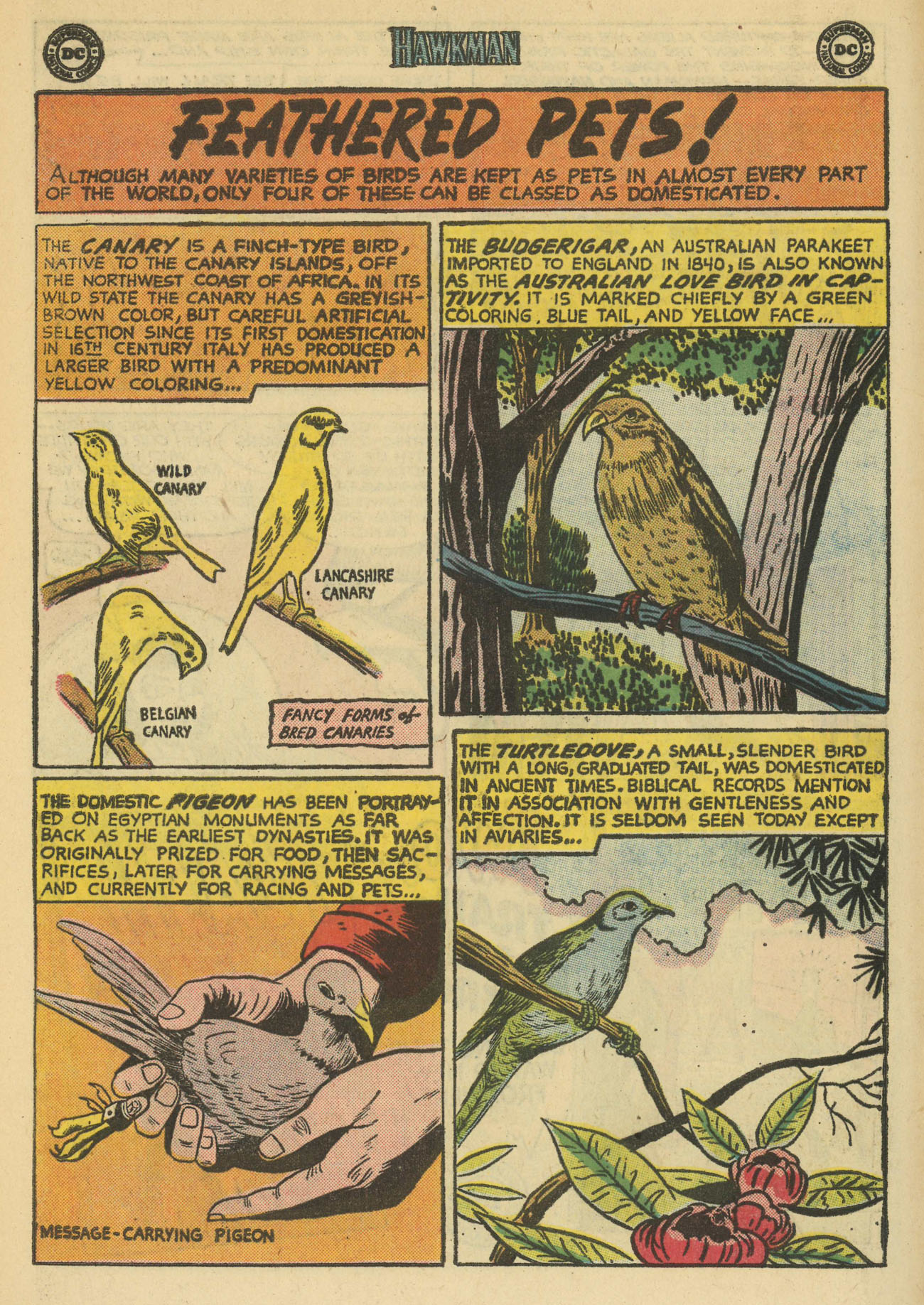 Hawkman (1964) 2 Page 17