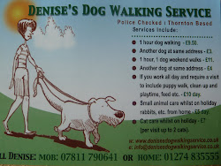 Denise's Dog Walking