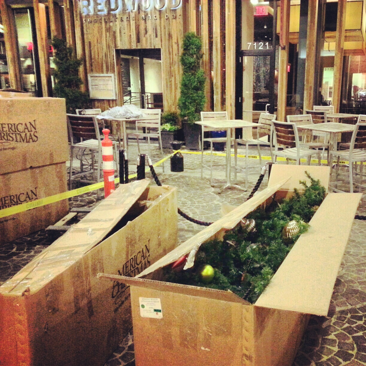 Robert Dyer Bethesda Row CHRISTMAS TREES ARRIVE AT BETHESDA ROW (PHOTOS)