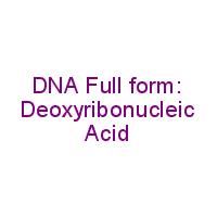 love status for whatsapp in hindi words