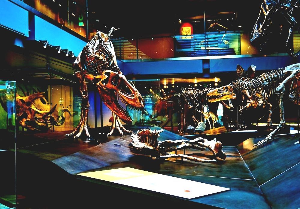 List Of Museums In Los Angeles Natural Science Museum Los Angeles