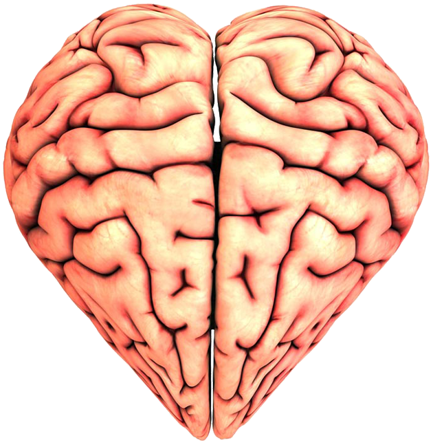 Observatorio Cosmico O Coracao Tem Razoes Que A Propria Razao Desconhece