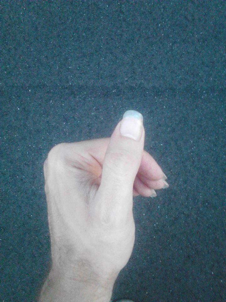 BALANCE Martial Arts and Holistics of West TN Hand Techniques (With Pictures!)