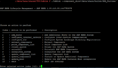 SAP HANA XS Advanced Installation Guide through resident hdblcm (Command based)