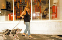 Sueli Almeida passeia na rua com sua porquinha de estimação, Pit