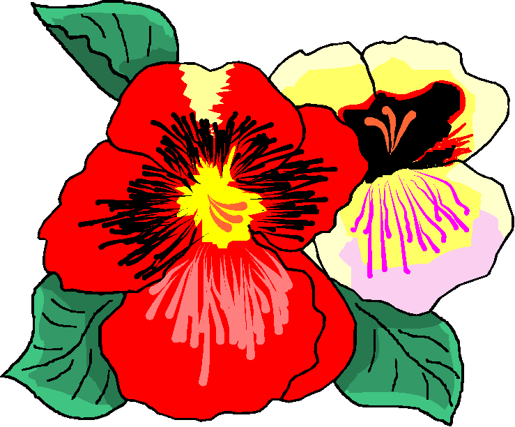 microsoft free clip art flowers - photo #49