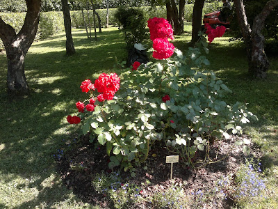 290720132057.jpg