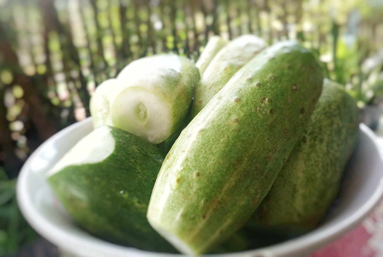 Resep Segala Masakan .web.id: Kandungan Gizi dan Manfaat Mentimun