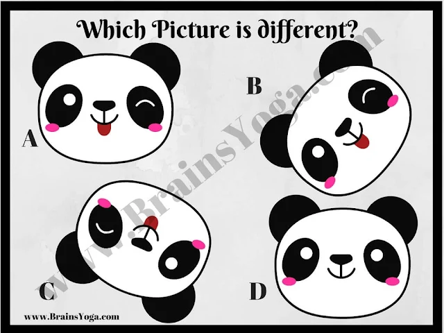Odd one out Picture Puzzle