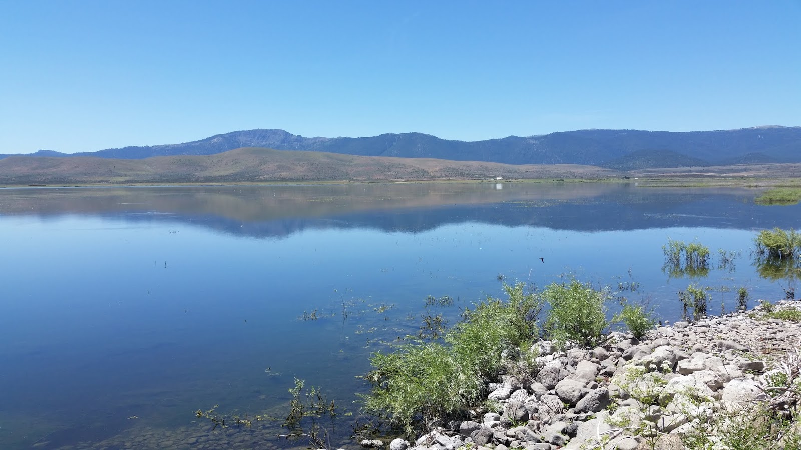 Wes' Travels to California Lakes Lake Leavitt Lassen County, California