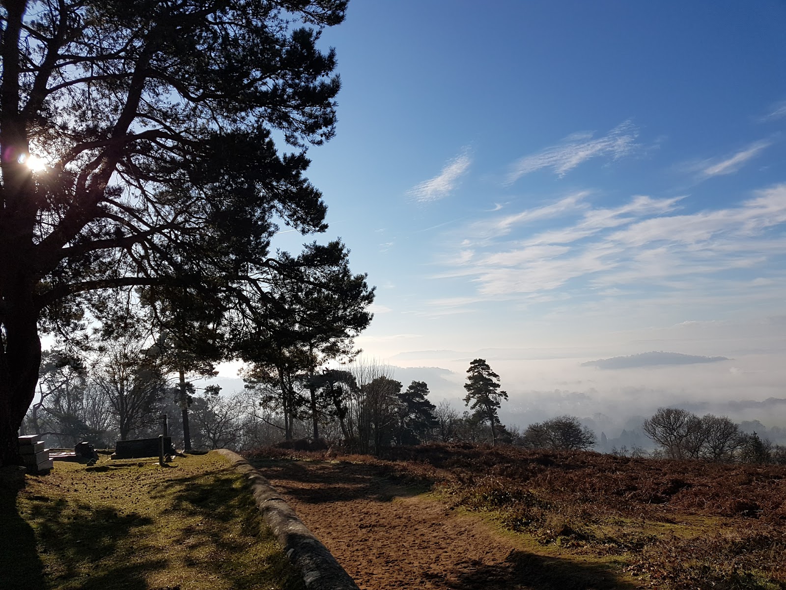 Mark's Rambles Walk 24th January 2017 Chinthurst hill Blackheath
