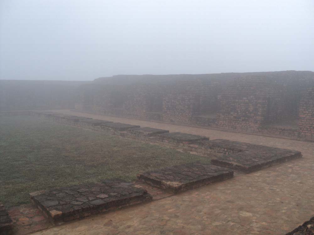 प्रकृति Peace Unearthed