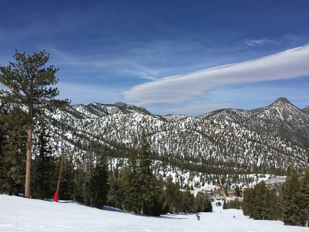 Lasketteluloma Las Vegasissa 10 Lasketteluloma Las Vegasissa 9