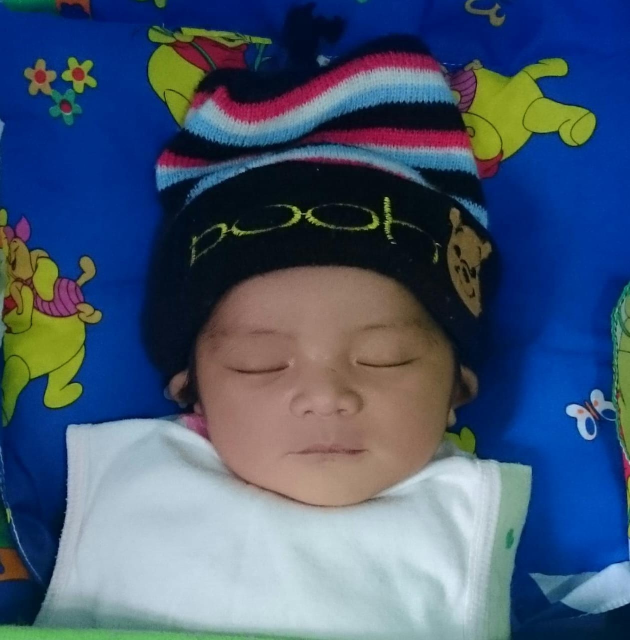 Sekolah 69 Nett kartu nama bayi contoh nama bayi keren