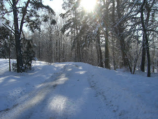 Vinterpromenad%2Bp%25C3%25A5%2Bmin%2Blunch%2B%25283%2529 - Bra medicin mot min förkylning