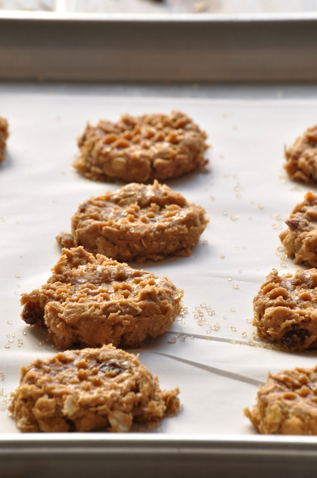 peanut butter raisin oat cookies Chow Creations