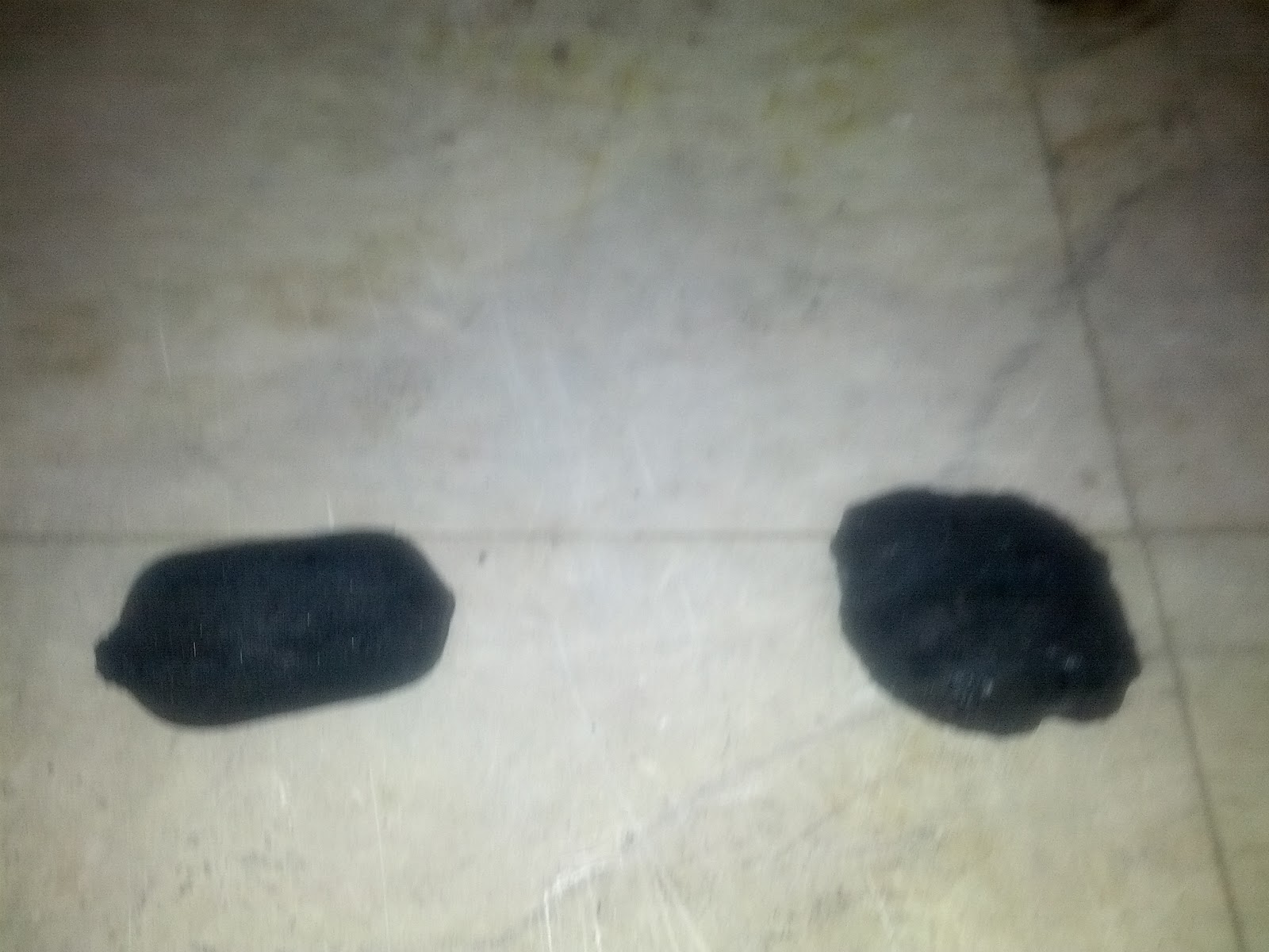 Everything Is Better Grilled Trader Joes Charcoal Review