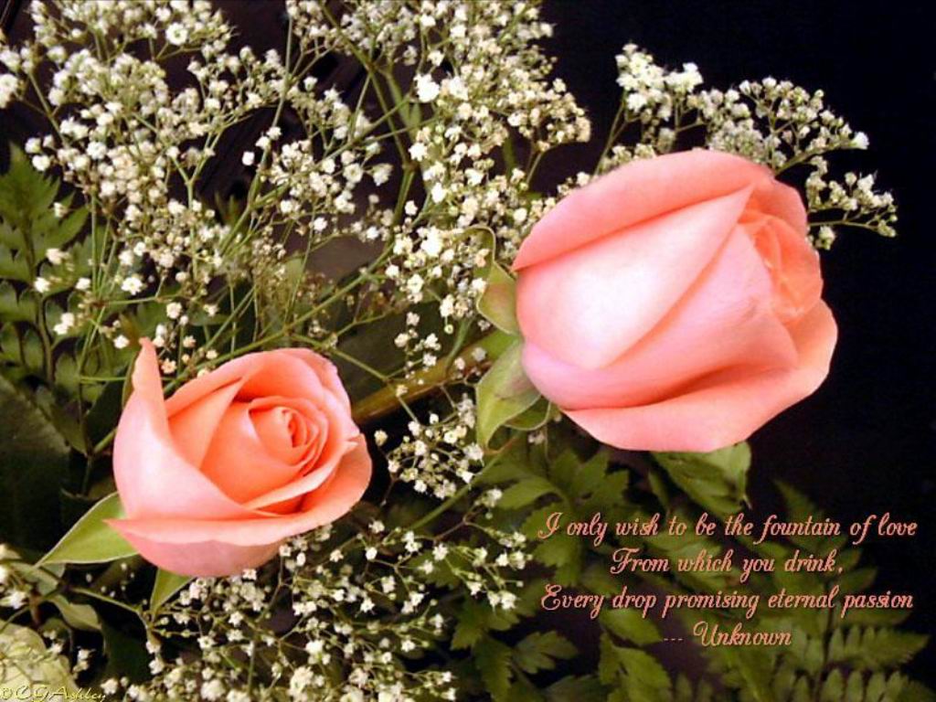 Sanjay Love Flowers quotes, Love Flowers greetings, Love Flowers Messages