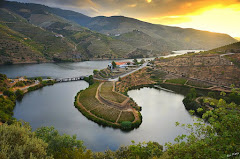 Douro maravilhoso...