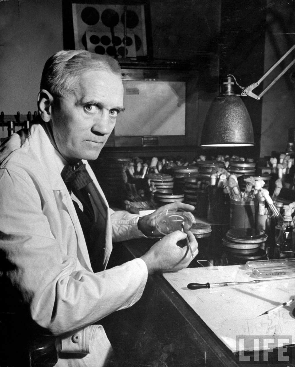 DETRÁS DE UNA IMAGEN: Nace Fleming DETRÁS DE UNA IMAGEN: Nace Fleming