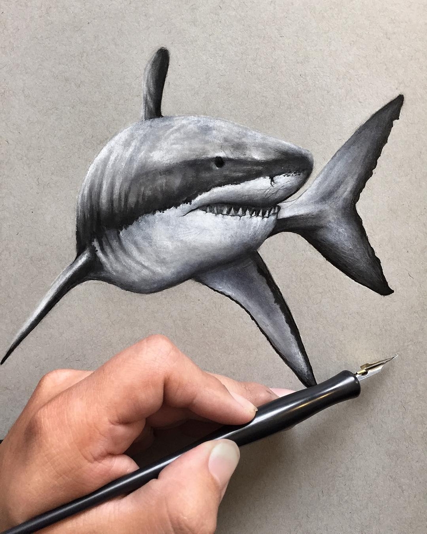 Shark Pencil Drawing