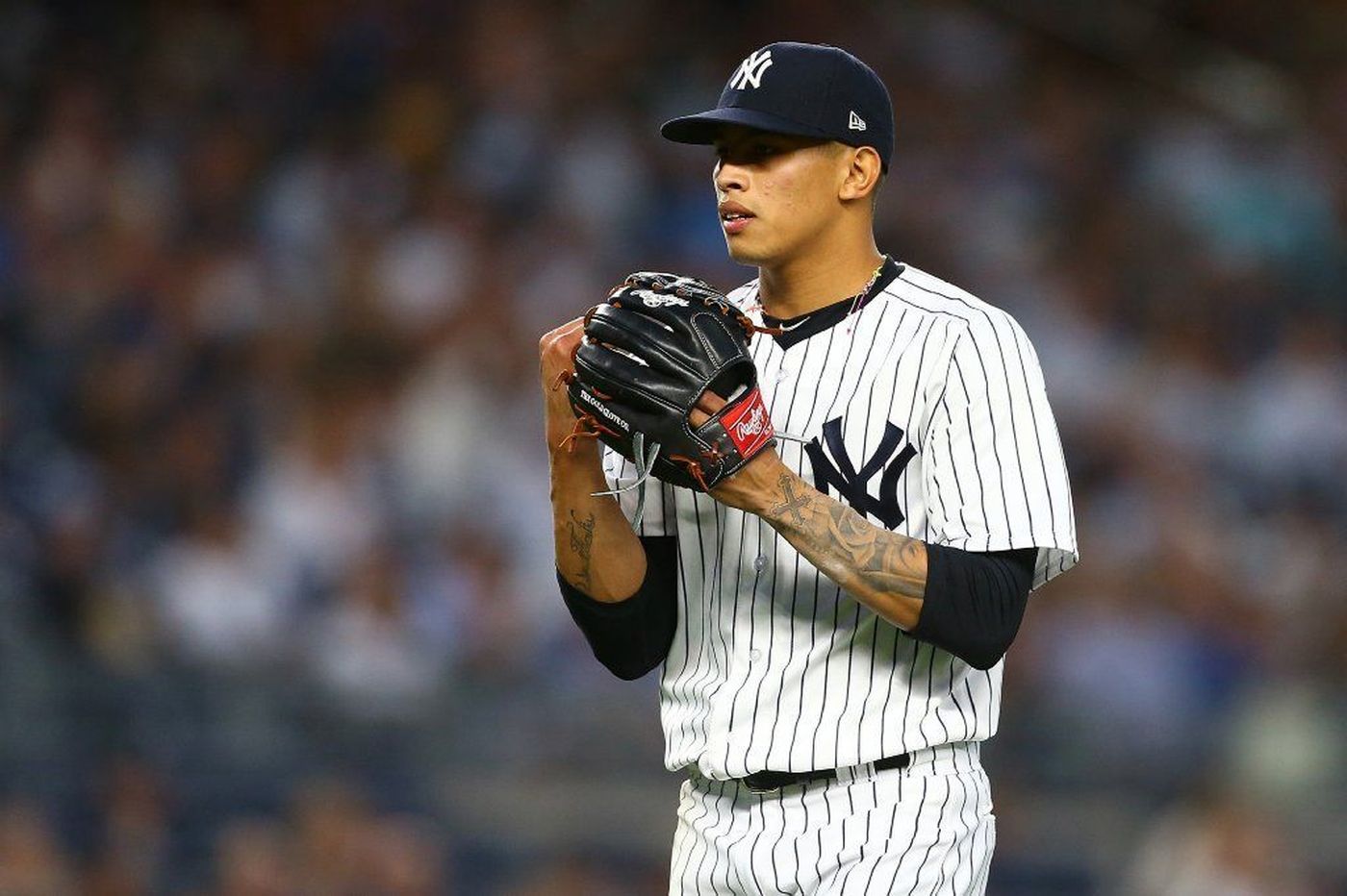 Prospect Lovers 2019 NEW YORK YANKEES TOP 20 PROSPECTS