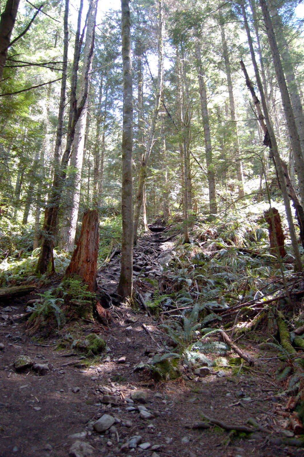 runvemrun in Hawaii Oyster Dome Hike