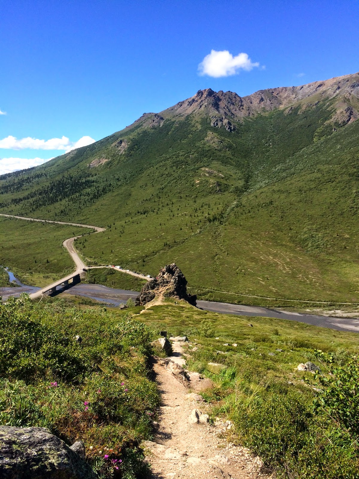 The Baked Alaska Project Hiking the Savage Alpine Trail in Denali