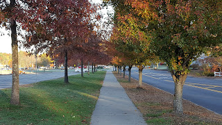 the sidewalk on Oak St at the schools complex