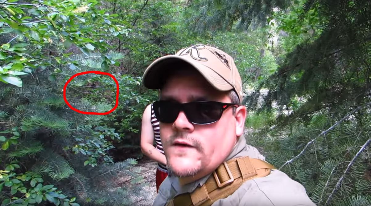 Bigfoot Expedition Footage Into The Famous Sasquatch Canyon