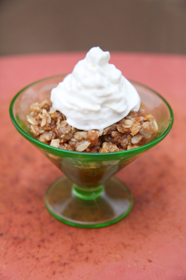 The Rancher's Daughter Apricot Crisp