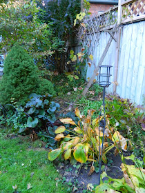 Annex garden cleanup Annex east bed Paul Jung Toronto Gardening Services before
