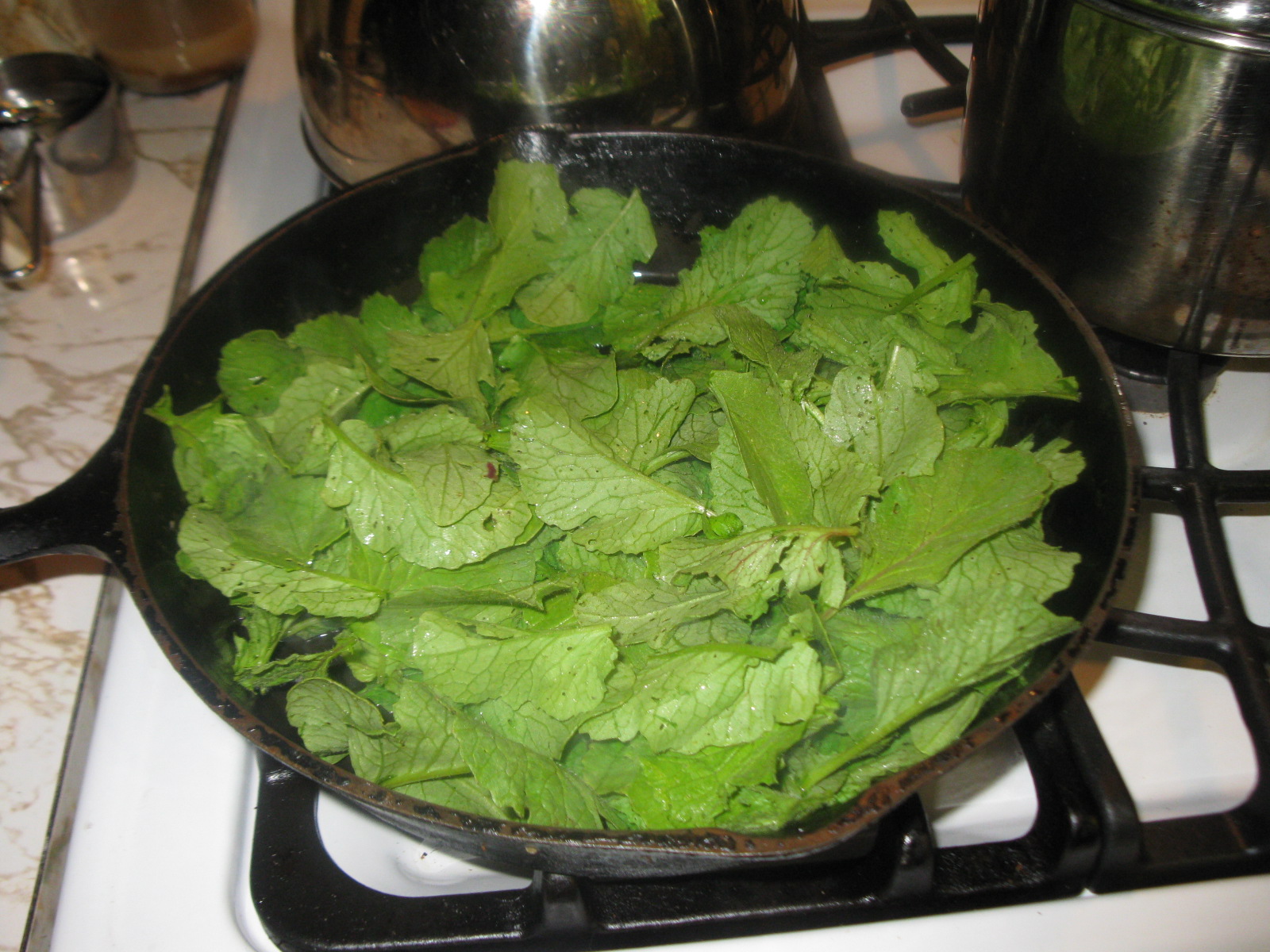 Simply Homemaking Did you know you can eat radish leaves?