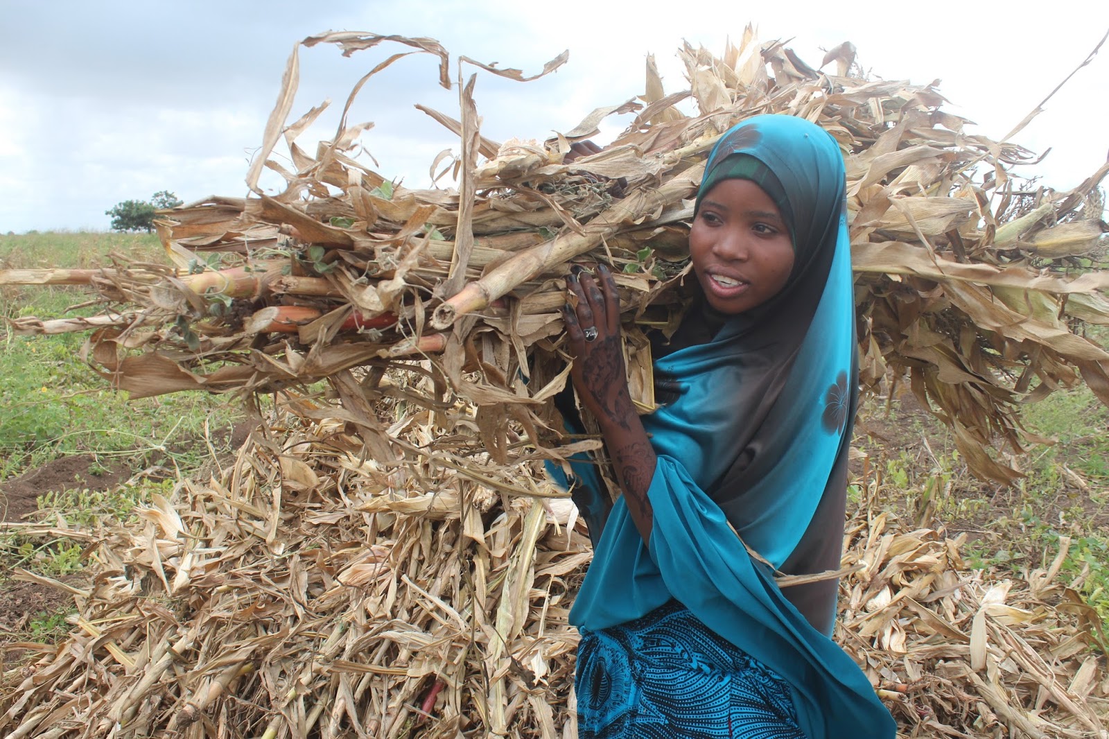 Somalia Stability Fund Young Somali farmers