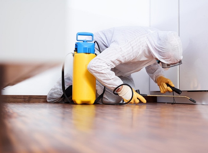 Completely Eradicate Pests with the Best Pest Control Services Saudi