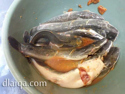 balur dan ratakan bumbu dengan ikan lele