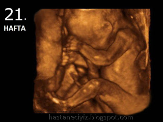 hamileliğin 21. haftasında bebek resmi