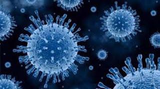 Gejala, Penyebab dan Cara Mencegah Penyakit Polio