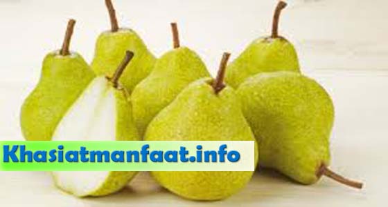 Khasiat dan Manfaat Buah Pear Khasiat dan Manfaat Buah Pear