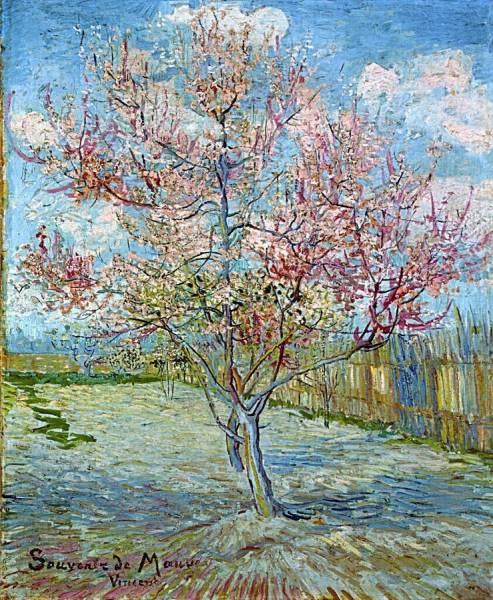 Alla Scoperta Di Peschi In Fiore Souvenir De Mauve Di Vincent Van Gogh